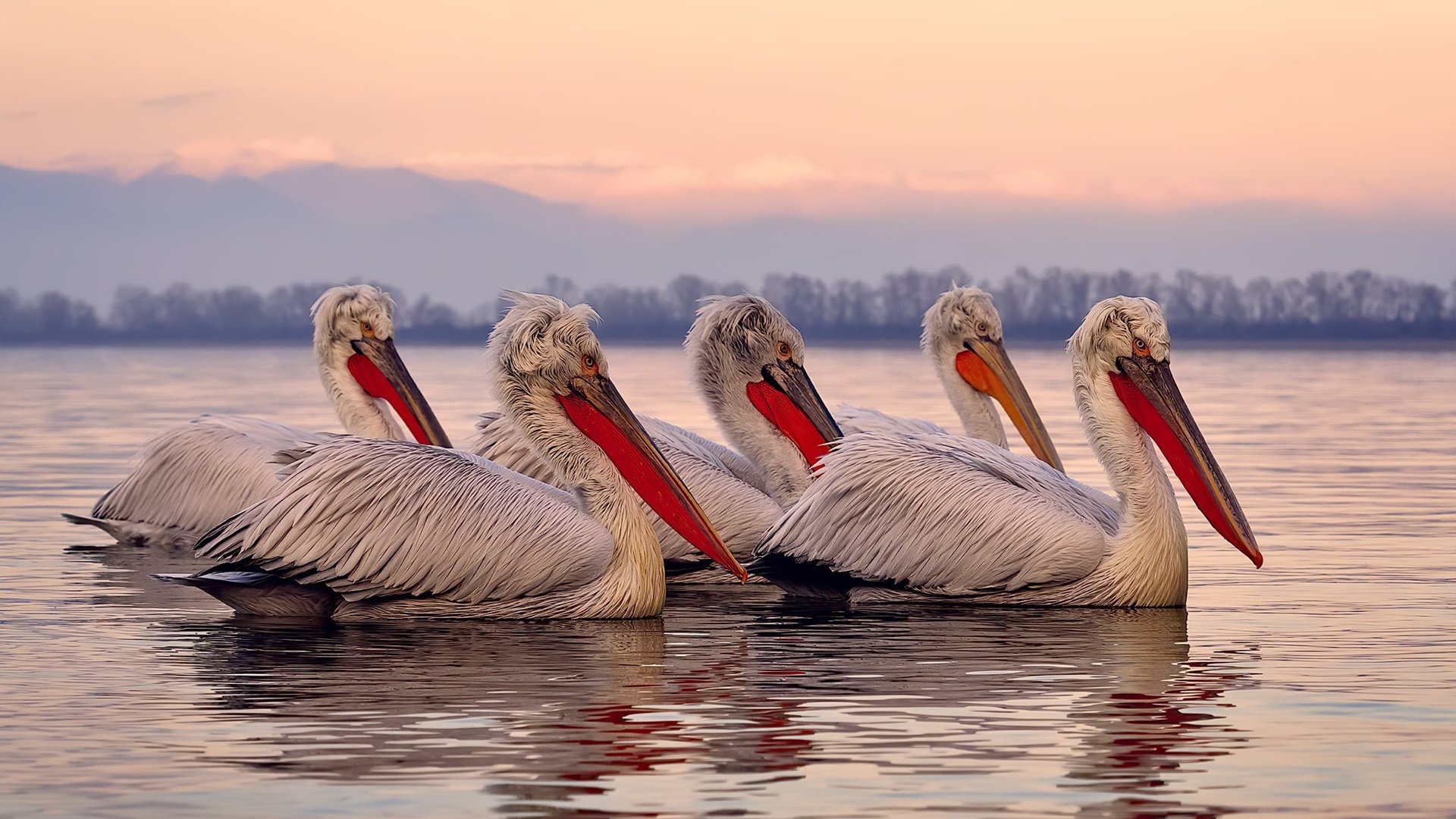 九游娱乐入口-年度焦点之战,丹麦战术革新,3-0完胜亚特兰大背后的足球哲学